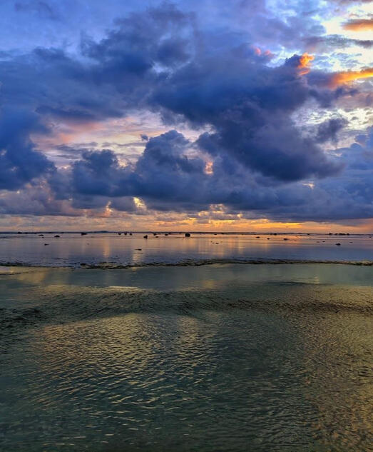 sea sea