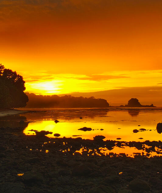 sunrise sunrise
